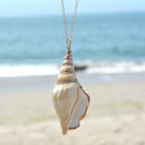 Natural Sea Shell Cowrie Necklace